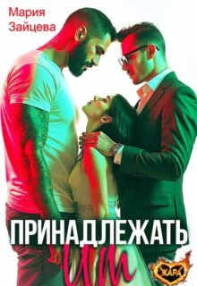 Читать онлайн полностью роман «Принадлежать им» Мария Зайцева бесплатно