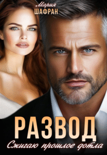 читать онлайн роман «Развод. Сжигаю прошлое дотла» Мария Шафран бесплатно