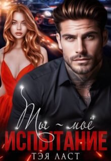 читать онлайн роман «Ты - мое испытание» Тэя Ласт бесплатно
