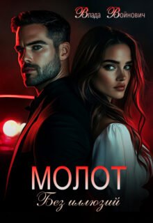 читать онлайн роман «Молот. Без иллюзий» Влада Войнович бесплатно