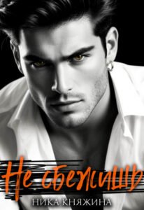 Читать онлайн полностью книгу «Не сбежишь» Ника Княжина бесплатно